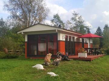 Фото номера Дом для отпуска Шале Parila Holiday House with Sauna г. Parila 29